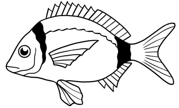DGRM logo